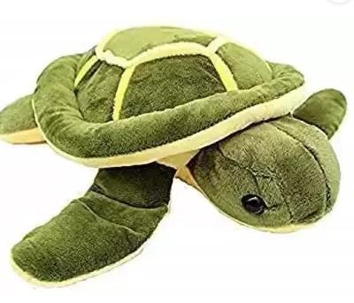Champshade Turtle
